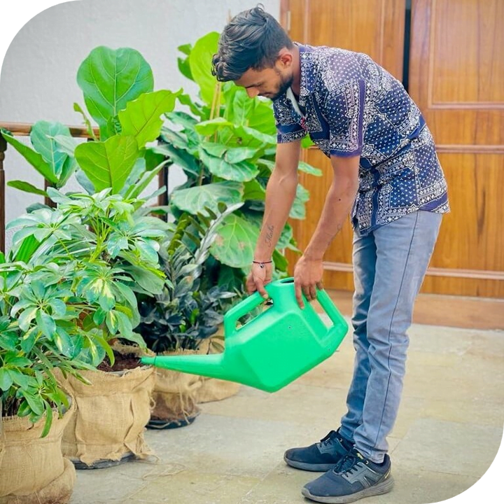 garden maintenance - corporate workplace