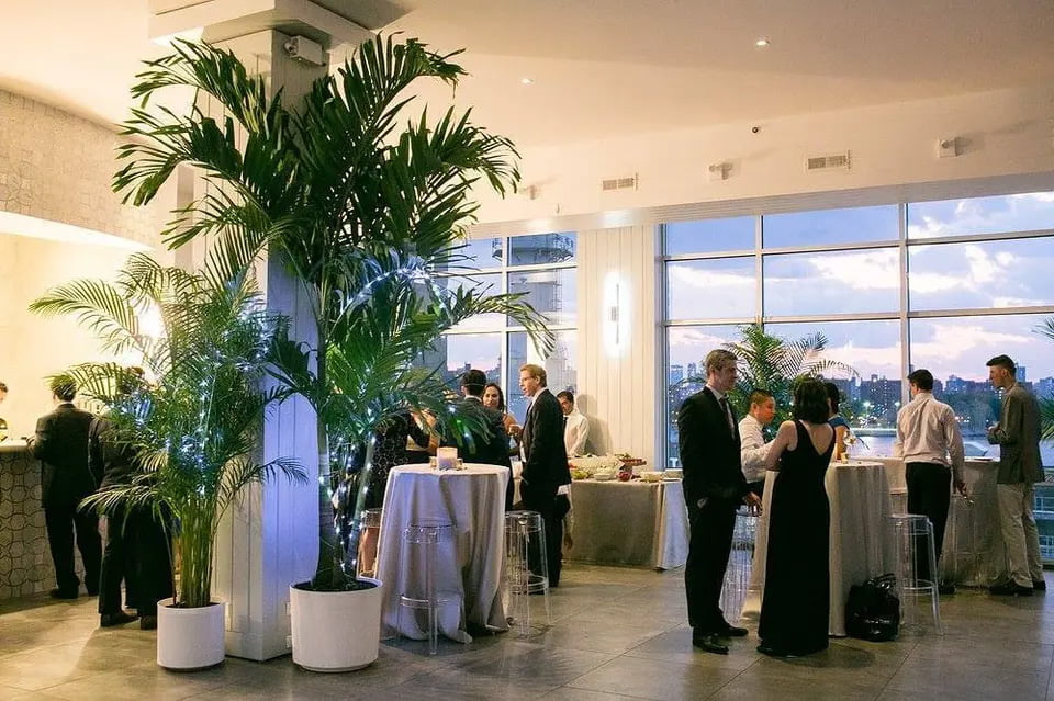 plant rental - corporate event