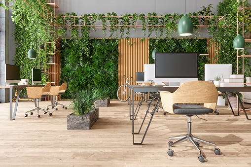 plant rental - creative-project