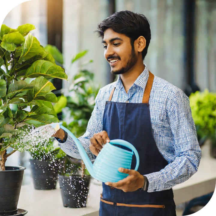 plant rental - gardener watering a tree in office