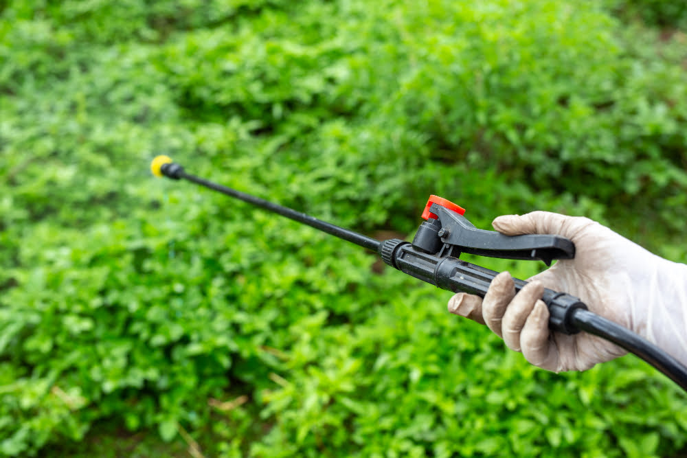 garden maintenance - seasonal care