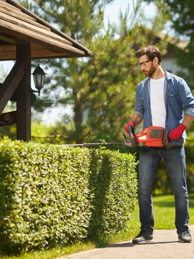 Transform Your Space with Our Expert Gardening Services.