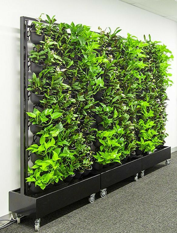 vertical gardening service - free stand - green wall