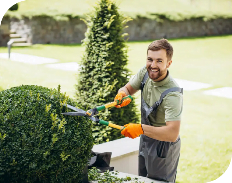 garden maintenance services